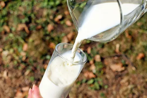 В Санкт-Петербурге выявлено предприятие-фантом, осуществлявшее оборот молочной продукции неизвестного происхождения