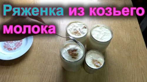 фотография продукта Ряженка из молока козы