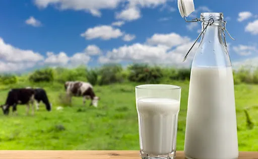 фотография продукта Закупаем сырое молоко . в объеме